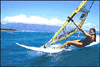 Learn English in Malta plus Wind Surfing