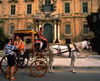 Learn English and the culture of Malta